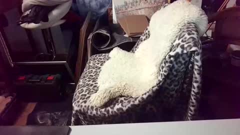 blindsurfer780299 online show from March 15, 2026, 5:13 am