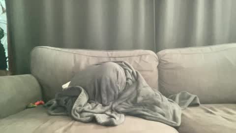 Snapshot of bllyidol chatting on November 6, 2025, 9:10 am BlIdoL online show from November 6, 2025, 9:10 am