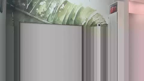 blondebunny999 online show from March 18, 2026, 8:56 pm