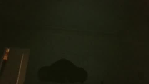 bluemoose70 online show from April 19, 2026, 2:55 am