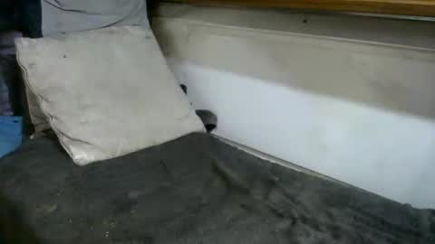 boatfun56 online show from February 12, 2026, 11:00 pm