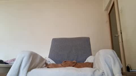 bobbytoyyboy online show from December 26, 2024, 9:01 am