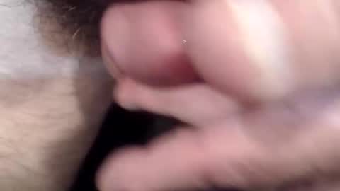 bobswan online show from April 15, 2026, 2:46 pm