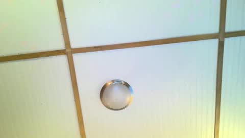 bodacioustits online show from November 2, 2025, 7:22 am