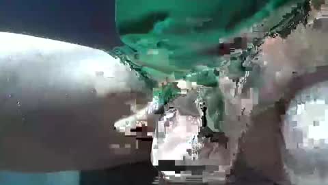 Snapshot of bogey58 chatting on December 8, 2024, 2:09 pm bogey58 online show from December 8, 2024, 2:09 pm