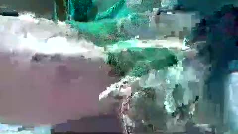 Snapshot of bogey58 chatting on February 12, 2025, 4:11 pm bogey58 online show from February 12, 2025, 4:11 pm