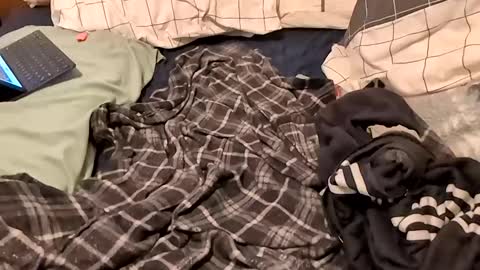 boiwithpussy online show from February 16, 2025, 1:36 am