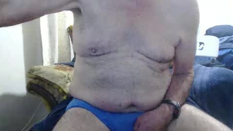 bolbil1 online show from November 10, 2025, 4:28 pm