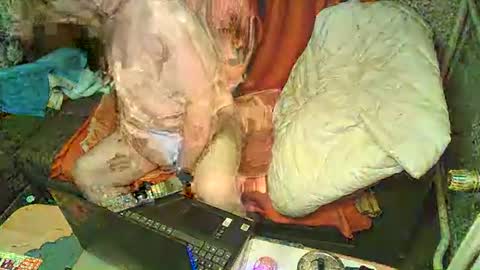 Bomber59potsdam online show from January 6, 2025, 9:32 pm