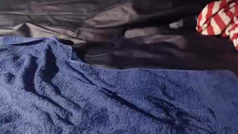 Bomm65 online show from November 19, 2025, 3:12 pm