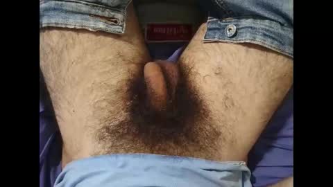 Snapshot of bomvemcam chatting on October 15, 2025, 8:03 am Im Bom - Tip if You Liked my Hairy Body - Private Show is Open - Read more about me in the bio below online show from October 15, 2025, 8:03 am