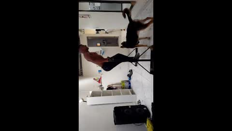 Boner Steve online show from November 3, 2025, 7:26 pm