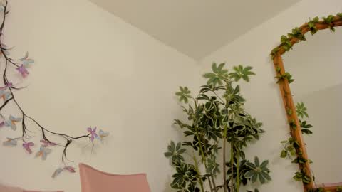   online show from November 27, 2025, 11:51 pm