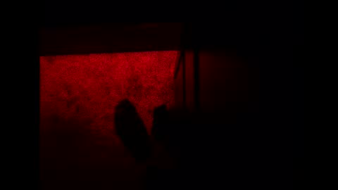 bonny8723 online show from November 3, 2025, 10:21 pm