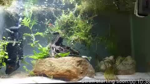 Booker Baxton online show from March 25, 2026, 3:01 am