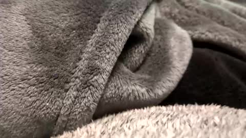 Borderslad1101 online show from November 23, 2025, 3:56 pm