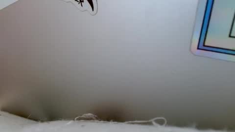 Snapshot of bottom_boiz chatting on December 18, 2024, 4:06 pm Rue online show from December 18, 2024, 4:06 pm