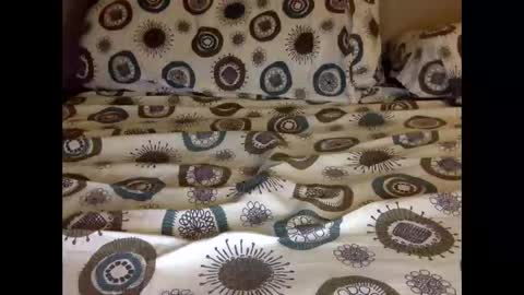 bouncer186 online show from November 20, 2025, 7:02 pm