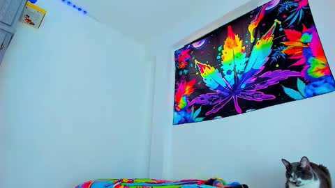 Edward ftm trans queerslave online show from February 3, 2026, 6:46 pm