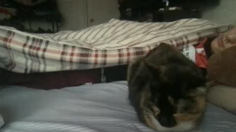 boywithbug online show from February 13, 2025, 10:54 pm