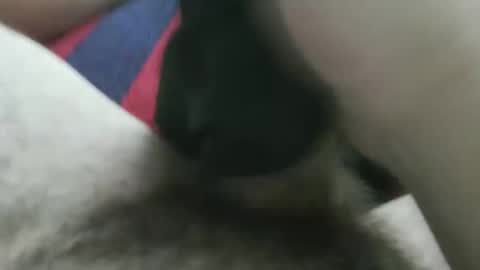 bpllpd online show from December 23, 2025, 12:41 am