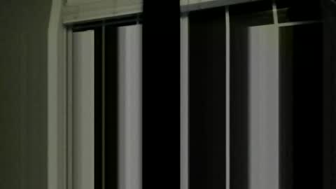 brandon255225 online show from February 14, 2026, 2:08 am