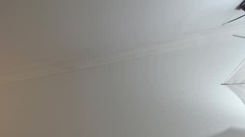 BrandonCole online show from February 10, 2025, 12:29 pm