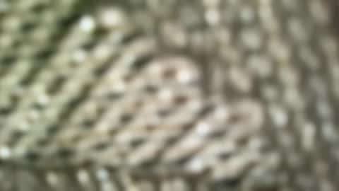 Snapshot of brandonconrad chatting on February 7, 2026, 6:44 pm brandonconrad online show from February 7, 2026, 6:44 pm