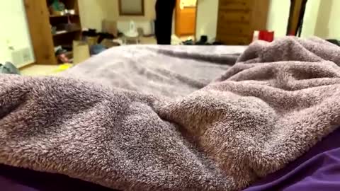 brandondot online show from December 16, 2024, 7:26 am