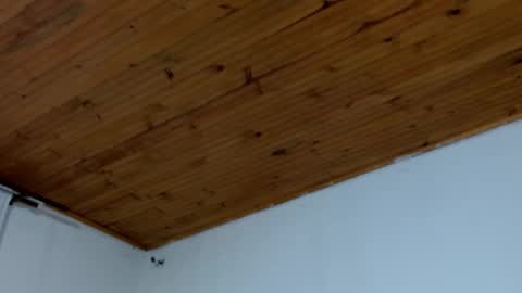 Brandon online show from March 16, 2026, 12:17 am