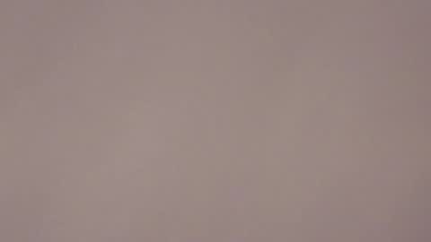 Snapshot of brandy_collinss chatting on January 17, 2026, 7:24 am Brandy online show from January 17, 2026, 7:24 am