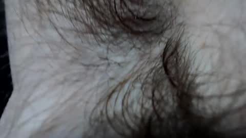 Snapshot of branflakes_ chatting on February 21, 2025, 11:10 pm branflakes_ online show from February 21, 2025, 11:10 pm