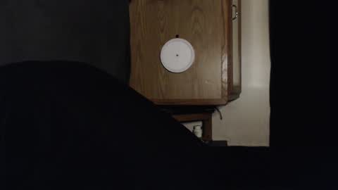 Snapshot of branflakes_ chatting on September 13, 2025, 2:44 am branflakes_ online show from September 13, 2025, 2:44 am