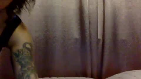 Snapshot of brasilierabrat chatting on June 11, 2026, 2:33 am brasilierabrat online show from June 11, 2026, 2:33 am
