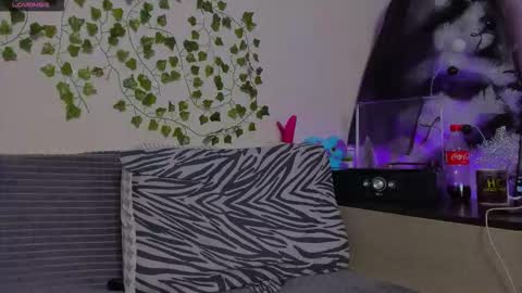 Snapshot of bravo_maestro chatting on January 13, 2026, 8:03 pm Johny Bravo online show from January 13, 2026, 8:03 pm