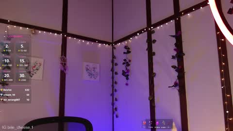 Snapshot of brie_cheese1 chatting on February 12, 2025, 8:07 pm Brie Ill be away November 2829 and 30. See u on Sunday for more fun online show from February 12, 2025, 8:07 pm