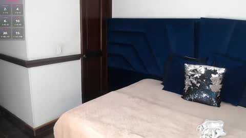 Snapshot of brigith24 chatting on November 16, 2025, 3:56 am Brigith online show from November 16, 2025, 3:56 am