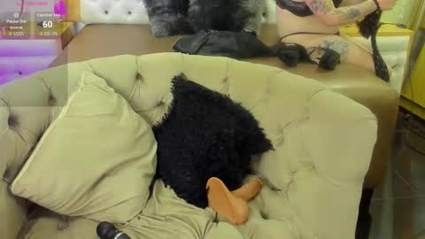 Snapshot of brithaniky chatting on November 19, 2025, 8:31 pm brithani online show from November 19, 2025, 8:31 pm