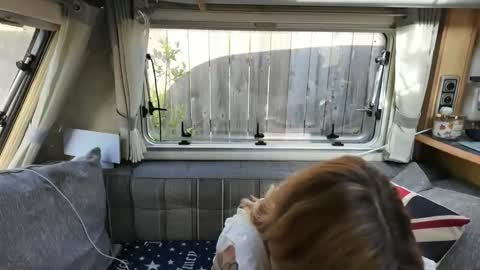  Want to see more online show from May 25, 2026, 8:20 am