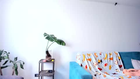  JOIN MY CHANNEL ON    TELEGRAM         online show from February 19, 2026, 7:43 pm