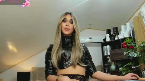 Snapshot of brooke_lynnhyts chatting on December 21, 2024, 4:52 am Brooke Shimmers IG online show from December 21, 2024, 4:52 am