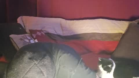 brownboyt online show from December 19, 2025, 5:58 am