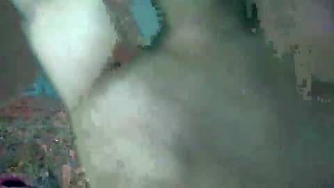 bubbabobo online show from February 10, 2026, 10:41 am