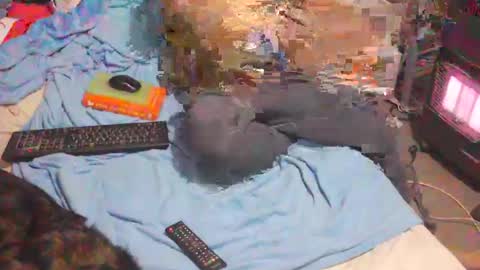 bufu21 online show from February 2, 2025, 9:56 pm