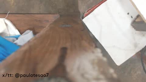 buldgeinboxer online show from February 17, 2025, 7:21 pm