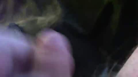 bullemoe online show from January 14, 2025, 2:11 pm