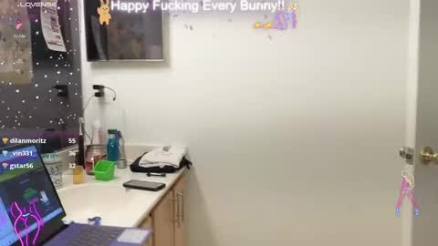 Tokki  bunny  online show from December 29, 2024, 11:08 pm