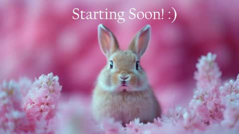 Stella online show from May 16, 2026, 10:08 pm