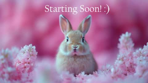 Stella online show from May 21, 2026, 11:56 pm