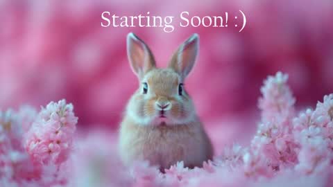 Snapshot of bunnydollstella chatting on June 5, 2026, 12:06 am Stella online show from June 5, 2026, 12:06 am